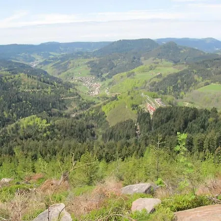 Ferienwohnung Schwarzwaldblick Bad Rippoldsau-Schapbach Exterior photo
