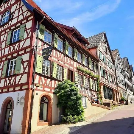 Ferienwohnung Schwarzwaldblick Bad Rippoldsau-Schapbach Exterior photo
