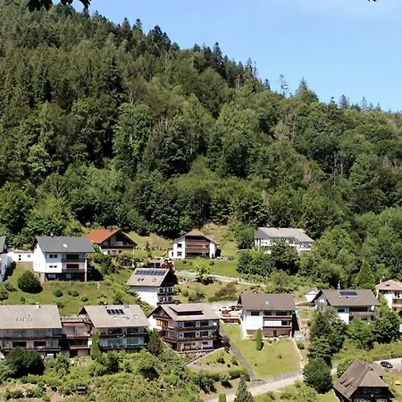Ferienwohnung Schwarzwaldblick Bad Rippoldsau-Schapbach Exterior photo