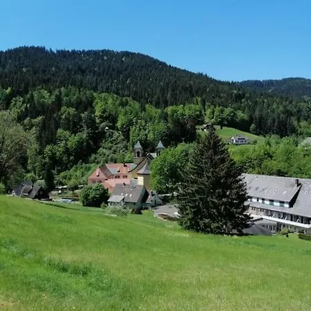 Ferienwohnung Schwarzwaldblick Bad Rippoldsau-Schapbach Exterior photo