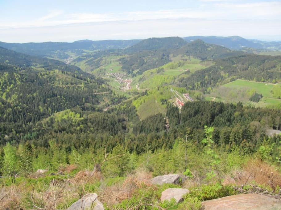 Schwarzwaldblick *