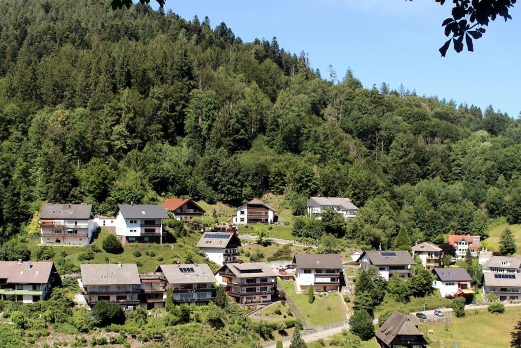 Schwarzwaldblick