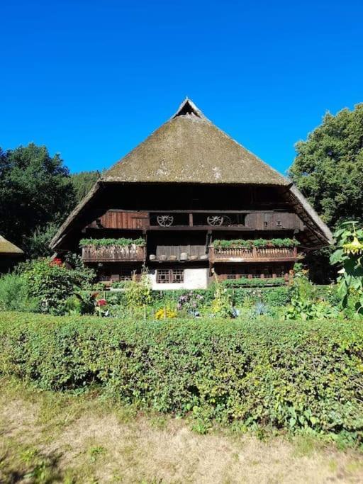 Schwarzwaldblick Apartment *