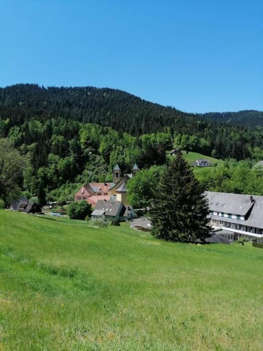 Schwarzwaldblick