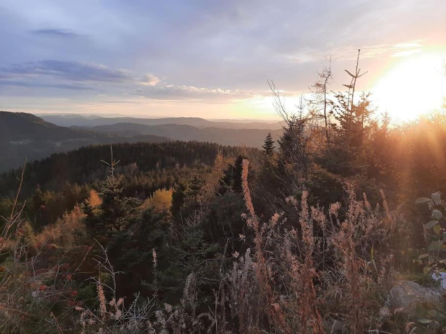 Schwarzwaldblick * Bad Rippoldsau-Schapbach