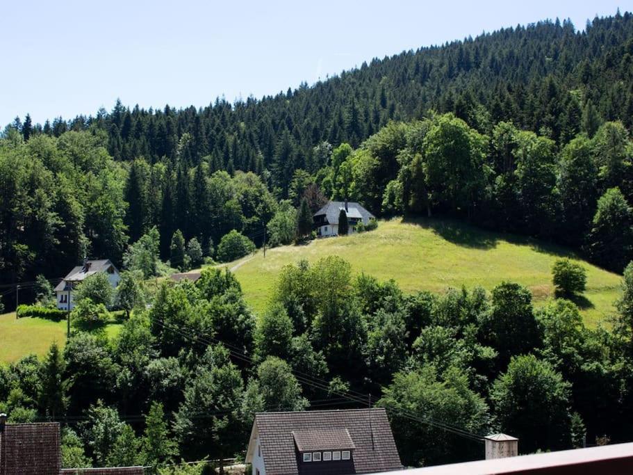 Schwarzwaldblick Bad Rippoldsau-Schapbach