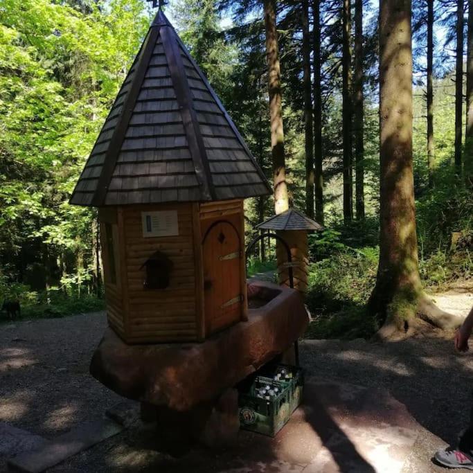 Schwarzwaldblick Bad Rippoldsau-Schapbach