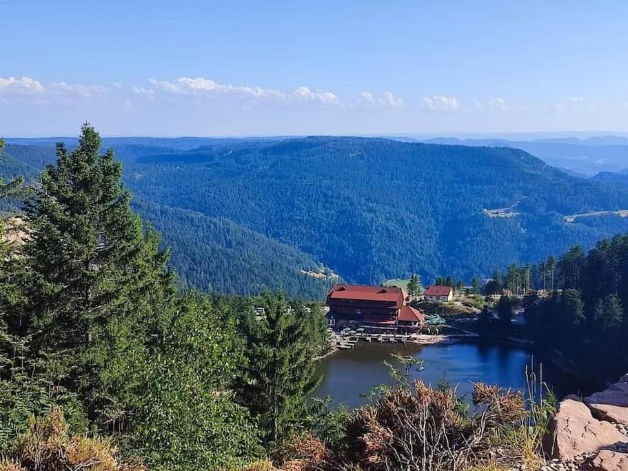 Schwarzwaldblick * Bad Rippoldsau-Schapbach