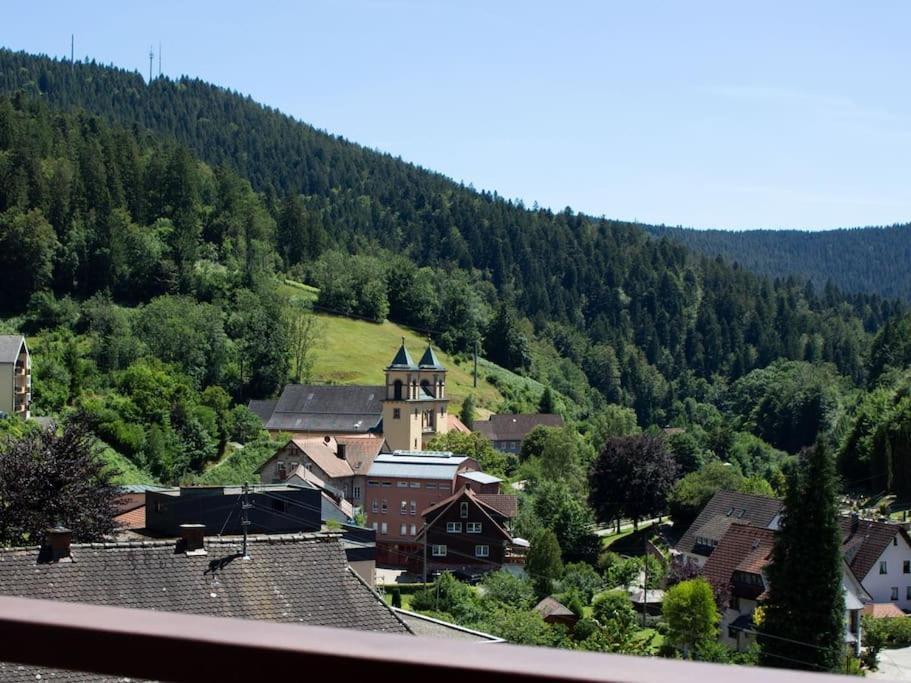 Schwarzwaldblick Bad Rippoldsau-Schapbach