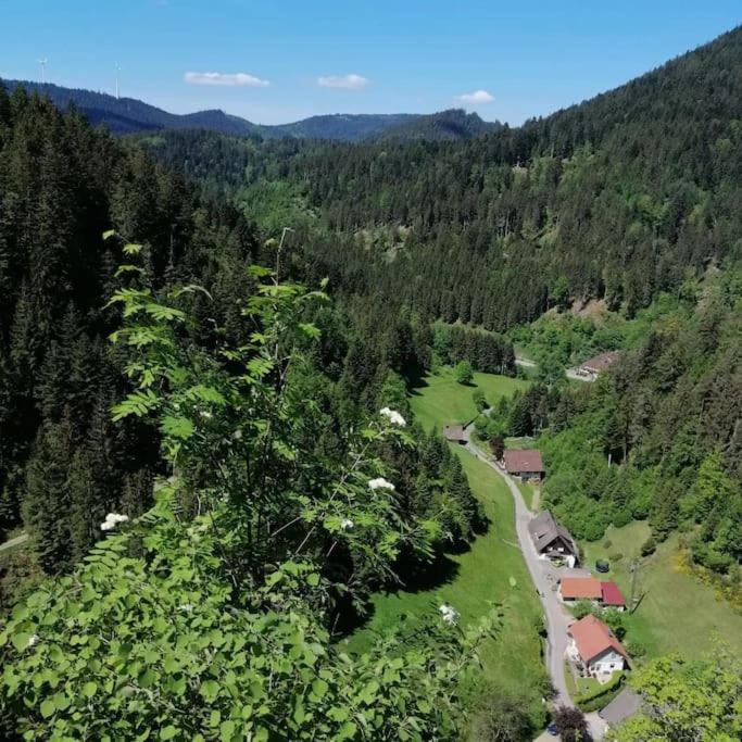 Apartment Schwarzwaldblick *