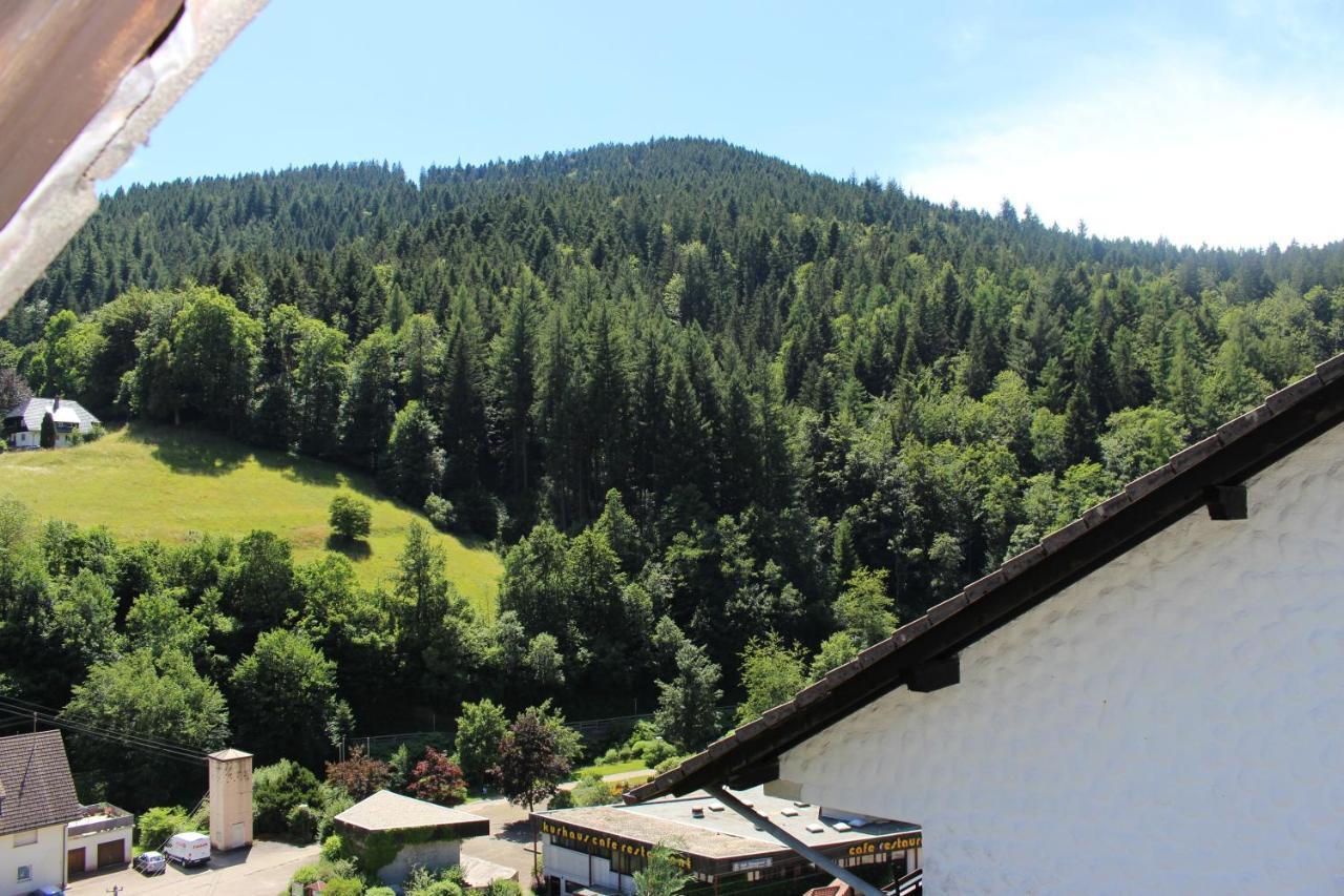 Schwarzwaldblick *