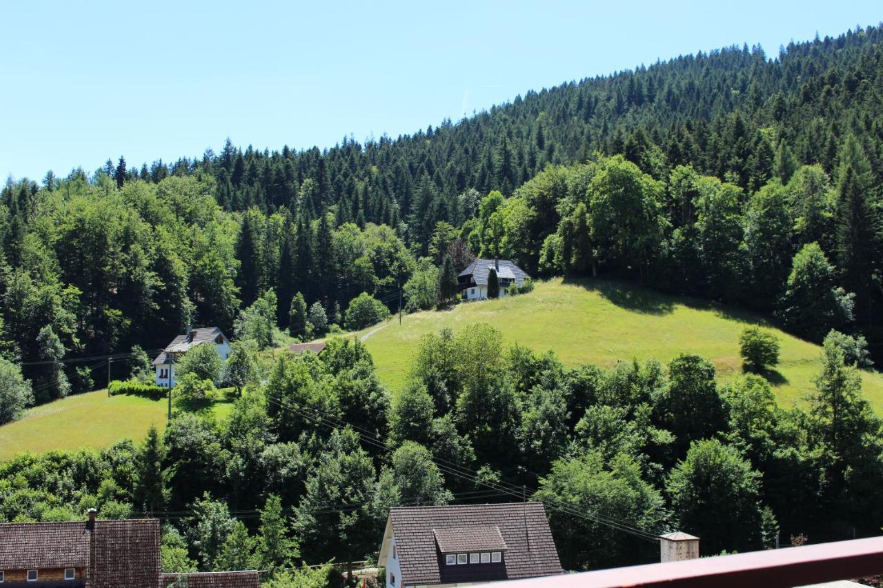 Apartment Schwarzwaldblick *